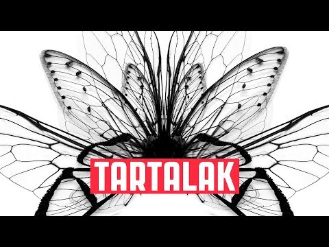Vad Fruttik - Tartalak