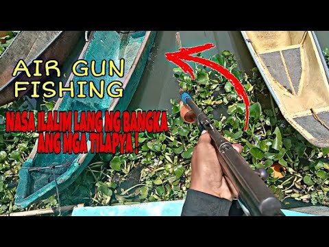 NASA ILALIM LANG NG BANGKA ANG MGA TILAPYA / AIRGUN FISHING TIKSAY / TALIM PH FISHING VLOG