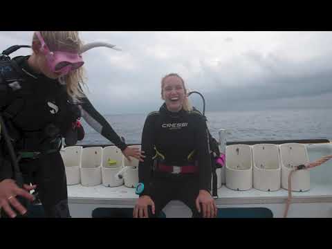 PADI Instructor Development Course - Utila Dive Center