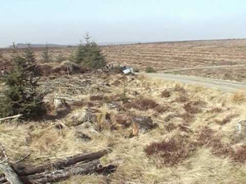 Marcus Dodd in ditch SS4 Border Counties Rally 2009