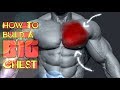 Best Chest Workout Techniques | 2018