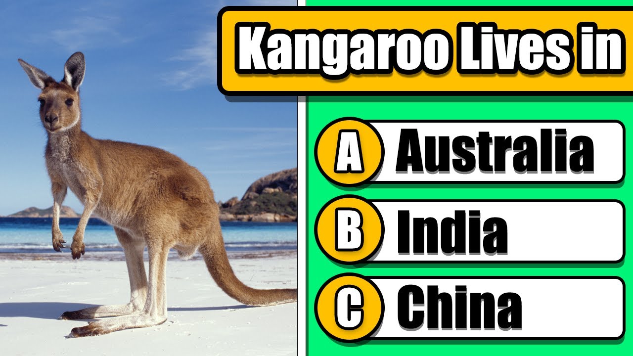 Easy General Knowledge Quiz 🎓 | 50 Fun Questions for All Ages