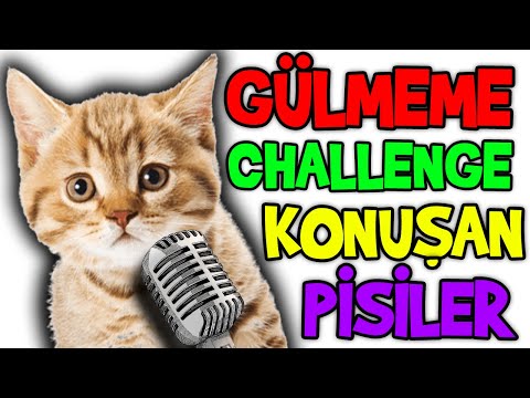 😂GÜLMEME CHALLENGE KONUŞAN PİSİLER🤣