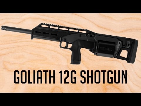 [Payday 2] Goliath 12G Shotgun