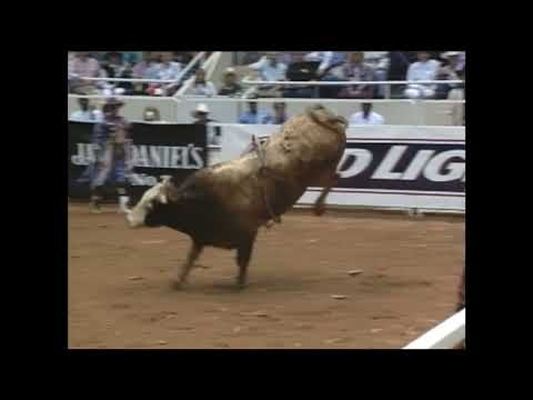 Bart Simpson bucks Gilbert Carrillo - 95 PBR Charlotte
