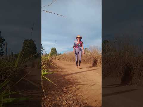 Caminhada sertaneja Comunidade Santa Rita município Vianópolis Goiás Brasil