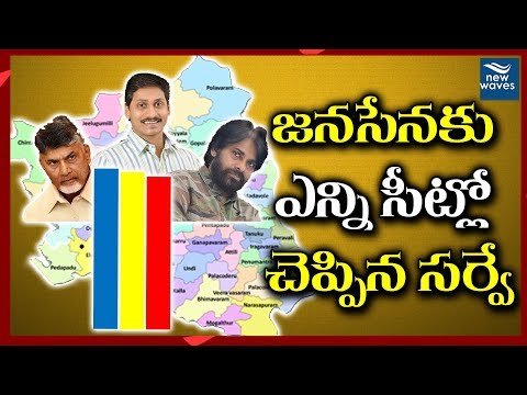 జనసేనకు ఎన్ని సీట్లో చెప్పిన సర్వే Survey Report on Godavari Districts | Janasena Vs TDP | New Waves