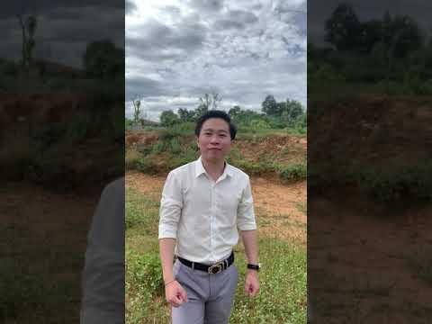 Duy nhất còn lại 2 lô đất nền mặt hồ Yên Bài, Ba Vì, Hà Nội. Vị trí cao đẹp.