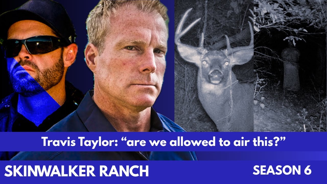 YouTube Thumbnail Downloader FULL HQ IMAGE