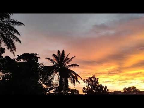 Beautiful Sunrise 🌄 and Birds Chirping in Rokupr Sierra Leone.