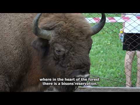 Viișoara (ENGLISH SUBTITLES)