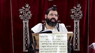 זבחים דף ל"ד ע''א ¤ הרב נתנאל אברז'ל ¤ בית הכנסת "בית מרדכי" (מוסדות תורת דוד) - התמונה מוצגת ישירות מתוך אתר האינטרנט יוטיוב. זכויות היוצרים בתמונה שייכות ליוצרה. קישור קרדיט למקור התוכן נמצא בתוך דף הסרטון