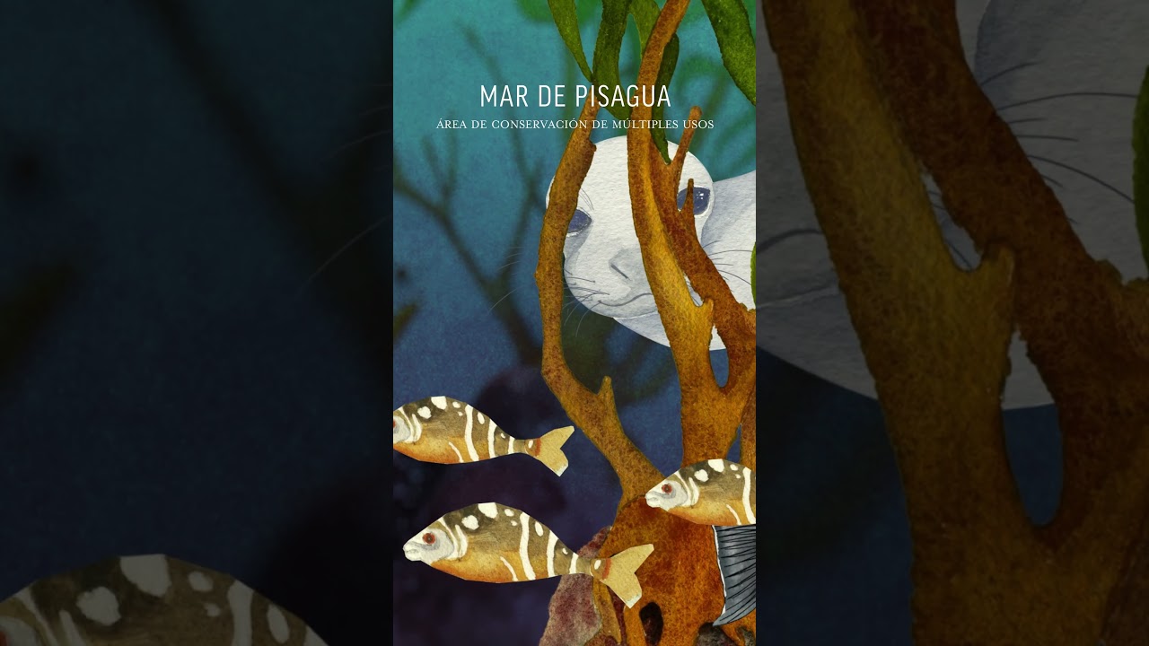 Mes del Mar | Mar de Pisagua