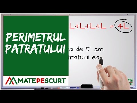 Perimetrul patratului