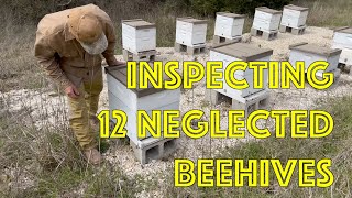 Unwrapping 12 Neglected Beehives - First inspection since? - How are the Honey Bees?