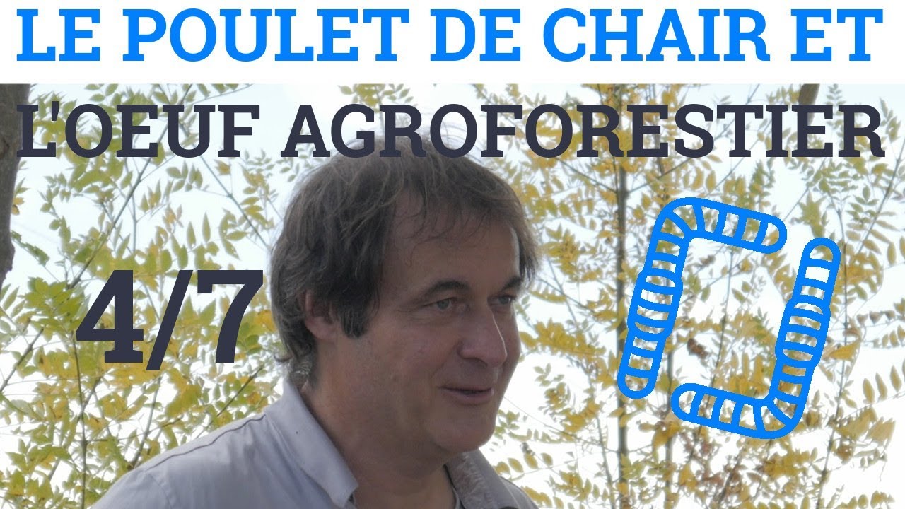 4/7 - Alain CANET - Le Poulet de Chair et l'Oeuf Agroforestier : 10 Règles