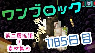 【１１８５日目】ワンブロックでハードコアな世界を生き残る