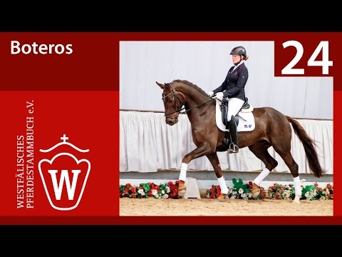 24 Boteros Wallach v. Botero - Laudabilis