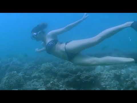 Sexy Girl Freediving No Snorkel