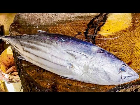 Amazing!! The Fastest Tuna Fish Cutting Skills Ever | 最速のマグロ解体技 | 가장 빠른 참치 절단 기술 | навыки резки 2023