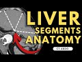 Liver Segments On CT Scan Radiology Anatomy Part 1 Prep Segmental Liver Anatomy CT