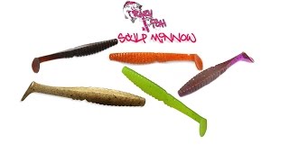 Scalp minnow crazy fish