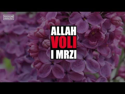 ALLAH VOLI I MRZI - Jasmin Durić, prof. ᴴᴰ┇Poziv na pravi put