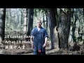 Shaolin 18 Louhan Hands Arhat 18 Hands Kung Fu 18 Palms Shaolin Kung Fu 少林罗汉18掌