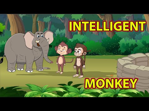 Intelligent Monkey | English Moral Story | MahacartoonTv English | English Cartoon | English Story