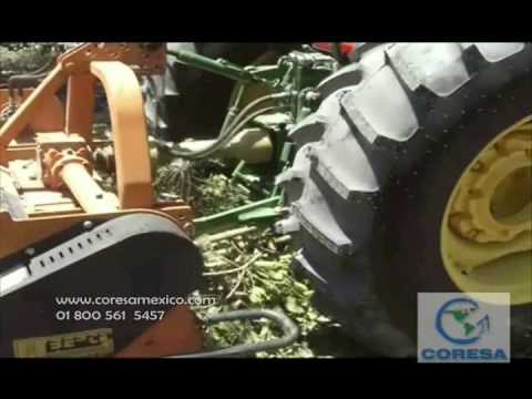 TRITURACION RAMA DE LIMON CON EQUIPO BERTI│CORESA