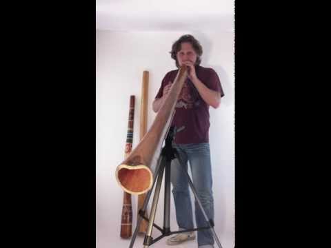 Didgeridoo Jackfruit - super Sound - von four-elements.de