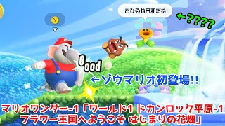 スーパーマリオブラザーズ ワンダー-2「ワールド1 ドカンロック平原-1 フラワー王国へようこそ はじまりの花畑（ゾウマリオ初登場！！）」