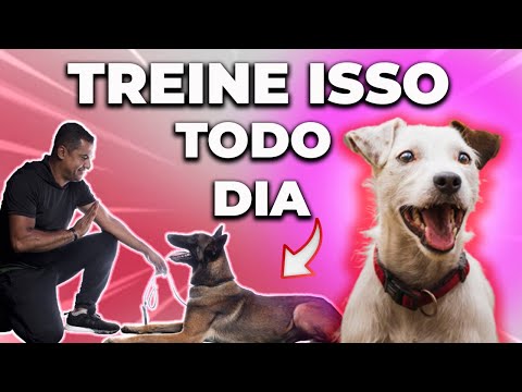 5 Dog Training Exercises You Should Do Every Day at Home