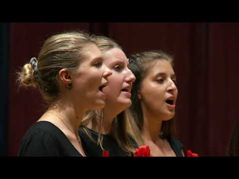 beVOICEd 2021 - DE PICCOLO’S  (Neerpelt) o.l.v. Jeroen Beckers