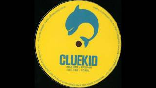 Cluekid - Dolphin