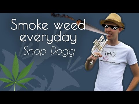 Snoop Dogg - Smoke weed everyday (TMO Cover) (42.0K subs)