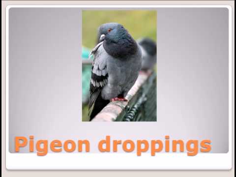 3 Minute Insight: The Washington Monument