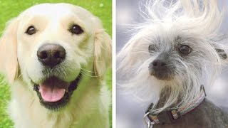 The 11 Best Friends You’ll Meet In Your Life