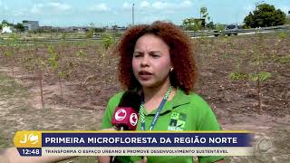 JC 1st Ed - Microforest Belém (10/28/2025)