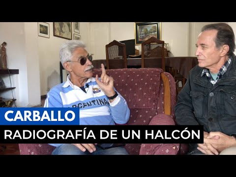 Carballo: X-ray of a Falcon