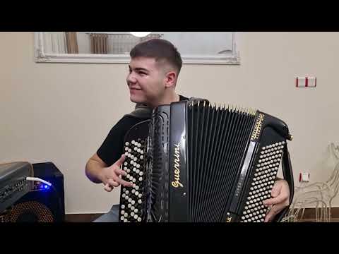 Aleksandar Antić & Srećko Krečar - Delići Detlići🍷❤️🪗🎹