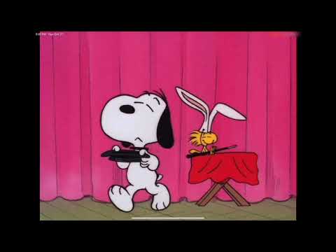 The Magic Show Begins