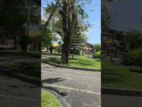 Bananeiras Paraíba #paraiba