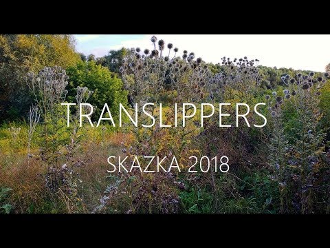 Translippers Skazka 2018 (1)