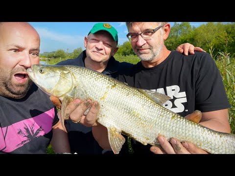 Wielki wiślany BOLEŃ, powrót Piotrka i łapki bobrów / ciężkie rzeczny feeder