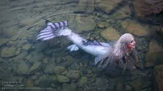 Three Mermaids Swimming at Night (showing all 3 of my silicone mermaid tails to you in a weird way)