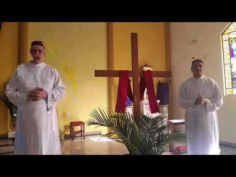 paróquia São Francisco de Assis