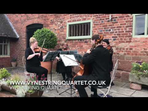 Whatever - Vyne String Quartet