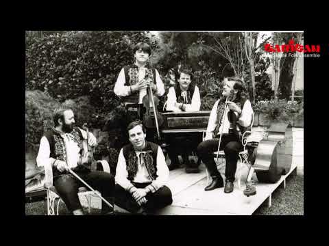 ĽH Šarišan - Široko koreňe