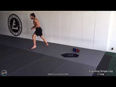 30 Minute Home HIIT  (Follow Along) Workout #8 - Jiu Jitsu FLO